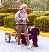 More on-leash work